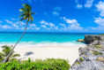/album/fotky-barbados/barbados-jamajkanita-60-jpg/